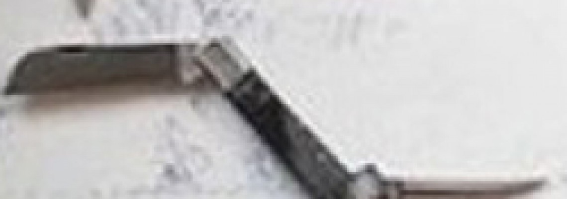 Blog 'A Navalha Portuguesa'
