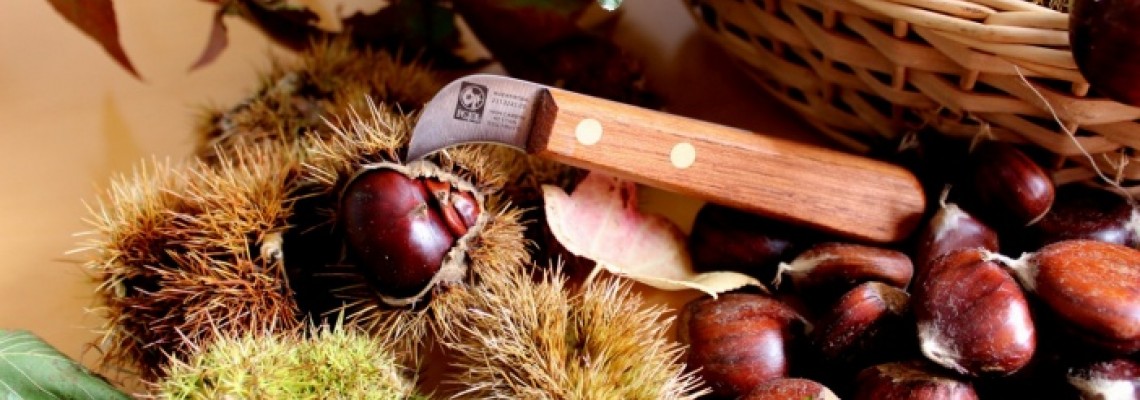 Castanhas - Facas e Truques para as cozinhar!