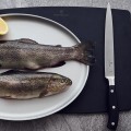 Facas para Peixe