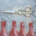 Tesouras de Cozinha
