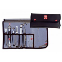 Kit para decoração de frutas e vegetais ICEL