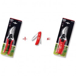 Conjunto Felco Tesoura p/ Podar + Canivete