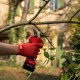 Tesoura Elétrica p/ Podar Felco 2e