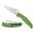Spyderco Pacific Salt® 2 FRN Green