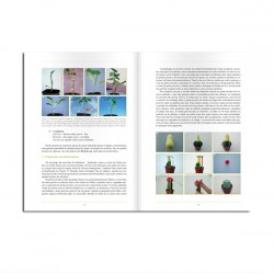 Livro Enxertias - Manual Técnico para Amadores e Profissionais